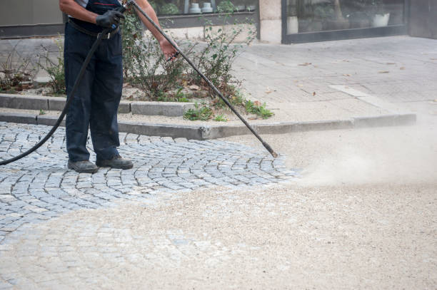 Best Oil Spill Cleanup  in Hasley Nyon, CA